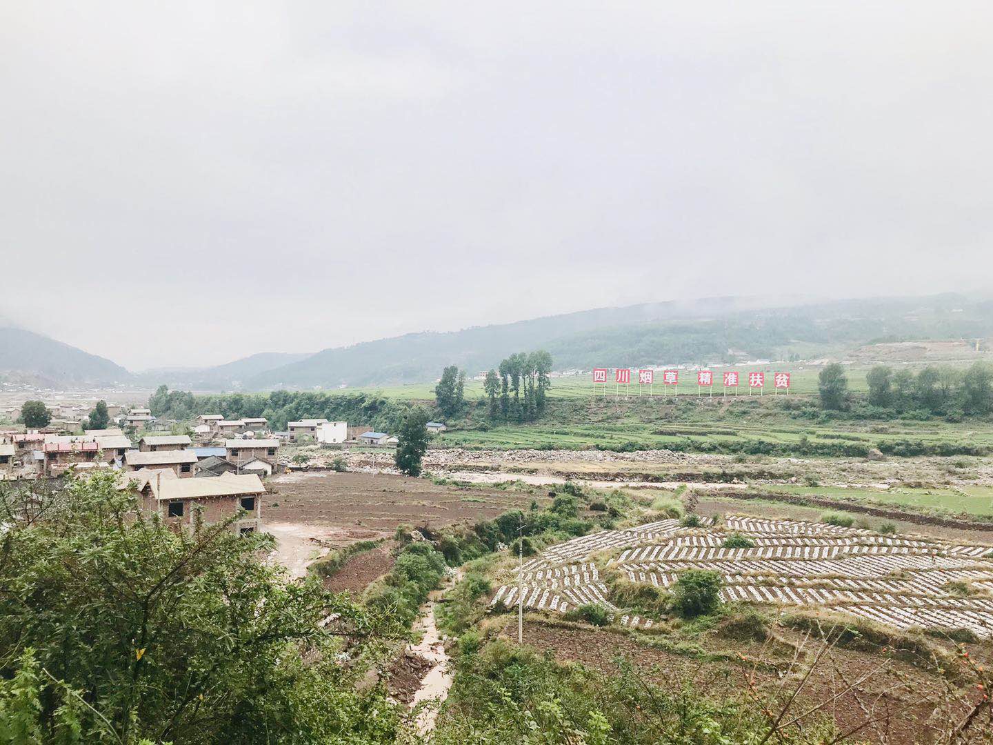 129.jpg